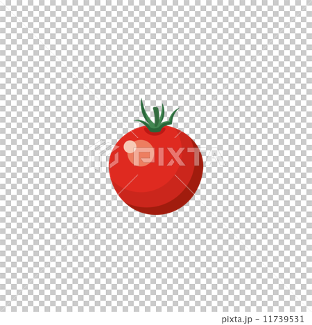 ミニトマト プチトマト【食材・シリーズ】 ミニトマト プチトマト【食材・シリーズ】 11739531