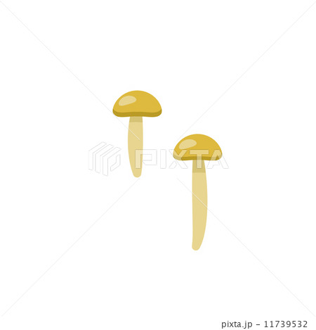 なめこ【食材・シリーズ】 11739532