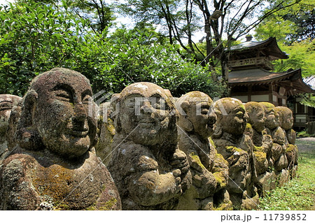 羅漢さん平安神宮 11739852