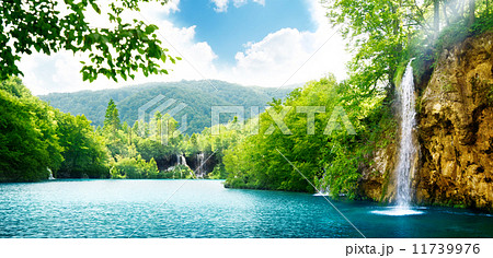 waterfall in deep forest 11739976