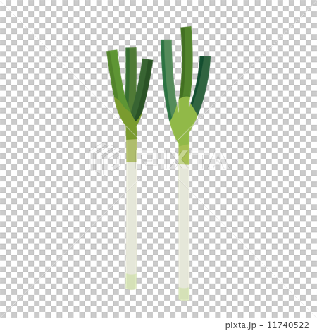ネギ【食材・シリーズ】 11740522