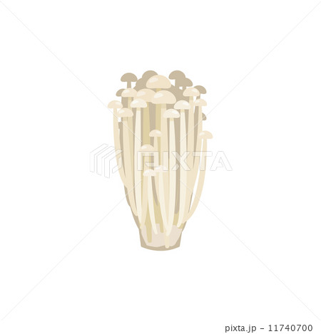 えのき 食材 シリーズ のイラスト素材