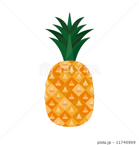 パイナップル【食材・シリーズ】 11740909
