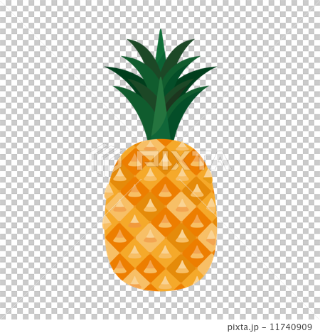パイナップル【食材・シリーズ】 11740909