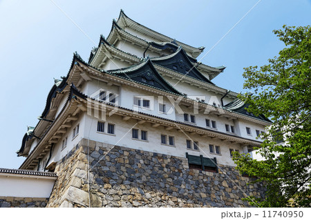 Nagoya castle Nagoya castle 11740950