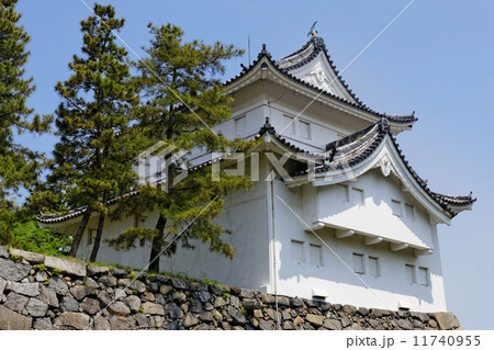 Nagoya castle Nagoya castle 11740955