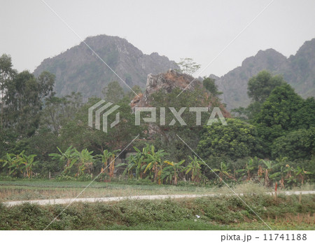 ハノイ郊外ニンビンの町外れ 11741188