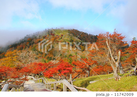 大台ヶ原の紅葉 11742009