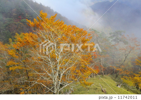 秋の大台ヶ原 11742011