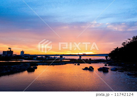 多摩川の夕焼け 多摩川の夕焼け 11742124