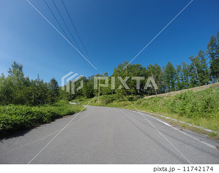 しらびそ高原：南アルプスエコーライン 11742174