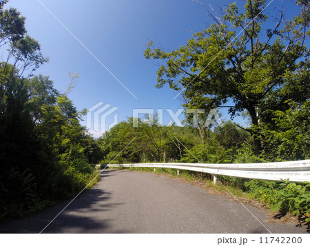 しらびそ高原：南アルプスエコーライン 11742200