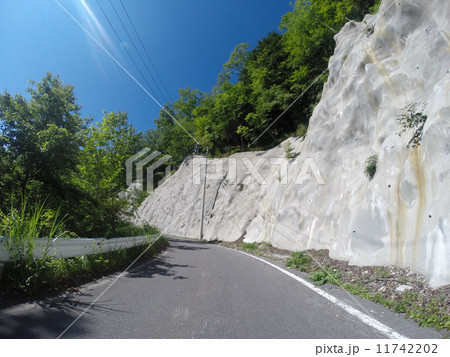 しらびそ高原：南アルプスエコーライン 11742202