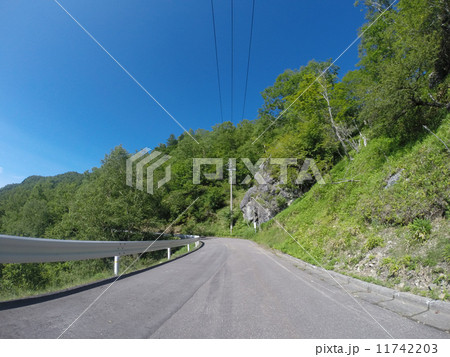 しらびそ高原：南アルプスエコーライン 11742203