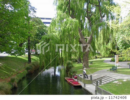River Avon, Christchurch, NZ River Avon, Christchurch, NZ 11742406