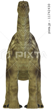 アルゼンチノサウルス☆Argentinosaurus アルゼンチノサウルス☆Argentinosaurus 11742430