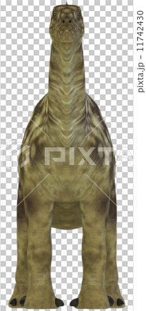 阿根廷龍☆阿根廷龍 11742430