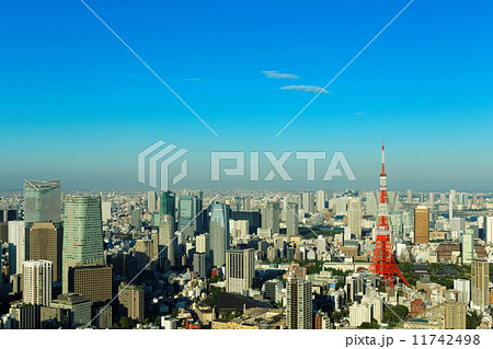 夕暮れの東京タワーと都市風景 夕暮れの東京タワーと都市風景 11742498