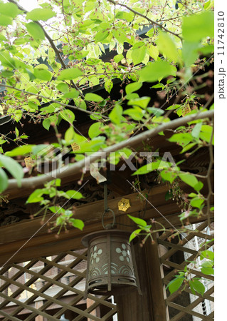 Japanese style lantern Japanese style lantern 11742810