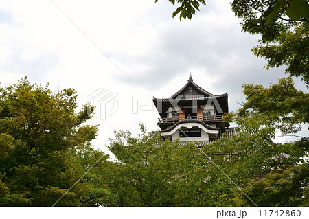 初夏の犬山城 初夏の犬山城 11742860