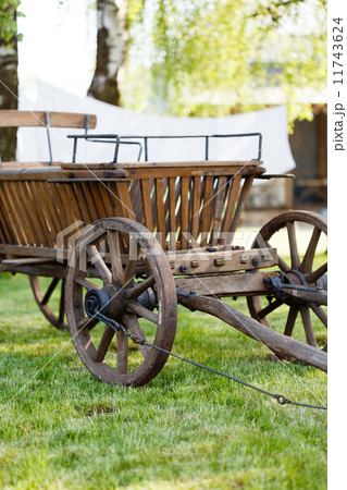 old oxen 11743624