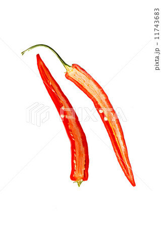 hot pepper 11743683