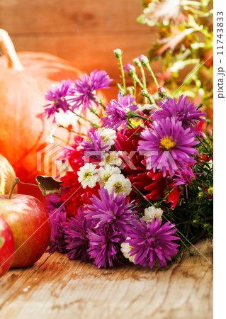 Thanksgiving day concept Thanksgiving day concept 11743833