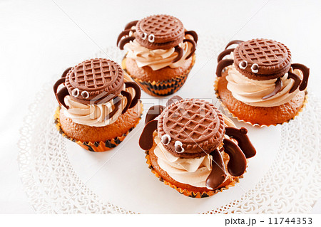 chocolate muffins chocolate muffins 11744353