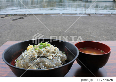漁港の生しらす丼 11744626