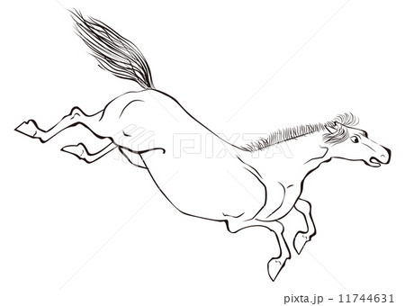 馬のイラスト素材 [11744631] - PIXTA