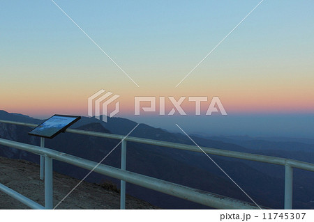 早朝のセコイア国立公園 11745307