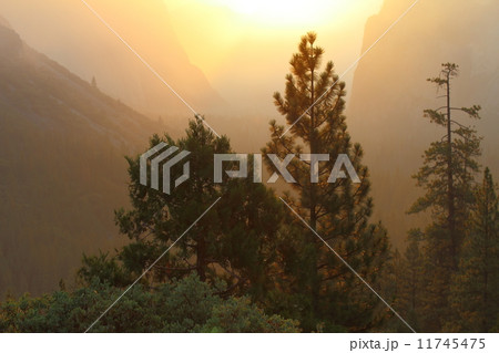 山火事の煙で覆われたヨセミテ国立公園 11745475