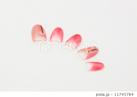 ネイルチップ ネイルチップ 11745764