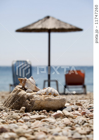 Summer vacation 11747260