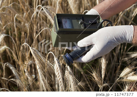Measuring radiation Measuring radiation 11747377