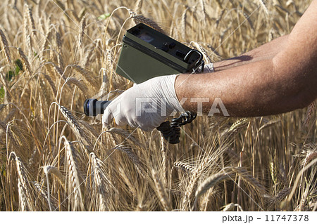Measuring radiation Measuring radiation 11747378