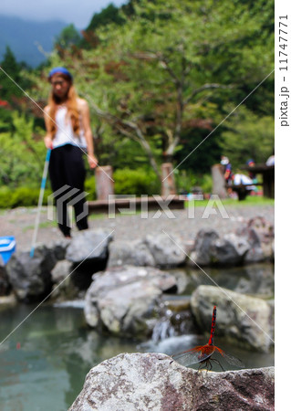 ヤマメ釣り　トンボ 11747771