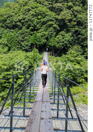 吊り橋 吊り橋 11747772