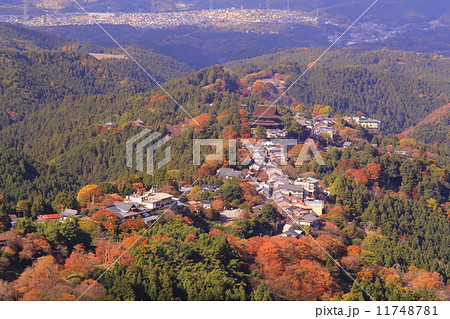 吉野山(奈良)花矢倉展望台より蔵王堂を見る 吉野山(奈良)花矢倉展望台より蔵王堂を見る 11748781