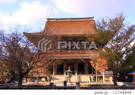 吉野山（奈良）の蔵王堂 11748846