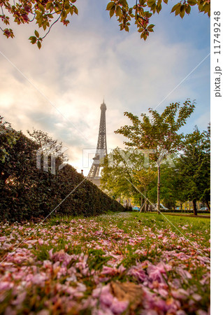 Eiffel Tower during spring time in Paris, France 11749248