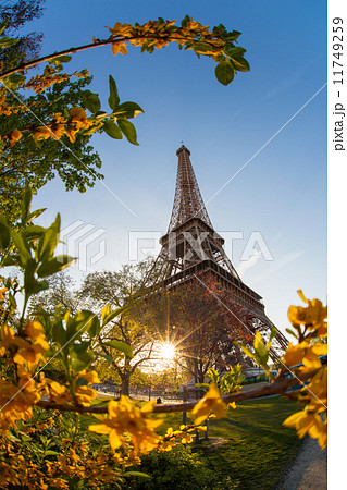 Eiffel Tower during spring time in Paris, France Eiffel Tower during spring time in Paris, France 11749259