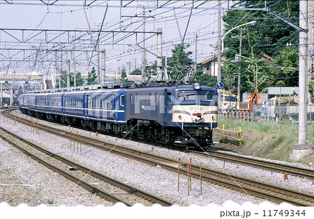 昭和58年 EF58牽引特急踊り子 保土ヶ谷 昭和58年 EF58牽引特急踊り子 保土ヶ谷 11749344
