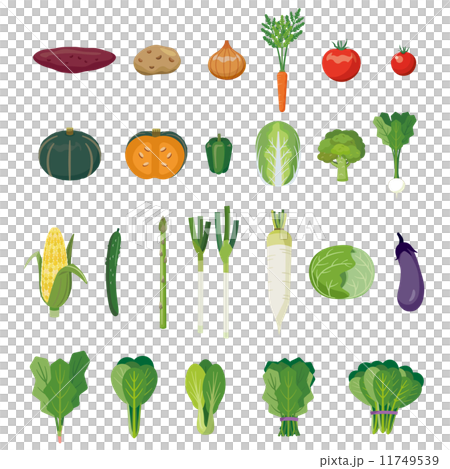 野菜セット【食材・シリーズ】 野菜セット【食材・シリーズ】 11749539