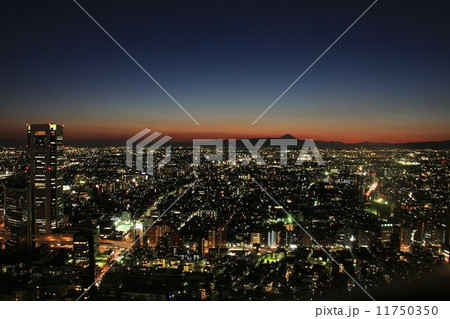 東京の夜景の彼方に浮かぶ富士山 11750350