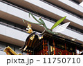祇園祭 11750710