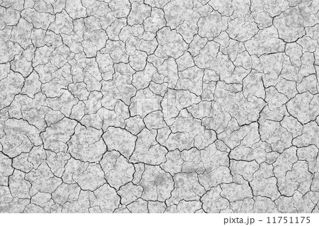 cracked soil cracked soil 11751175