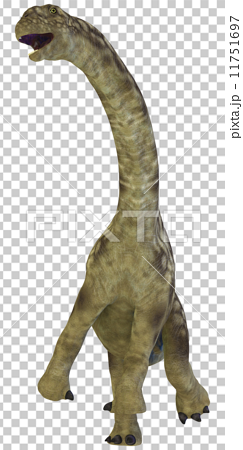 アルゼンチノサウルス Argentinosaurusのイラスト素材