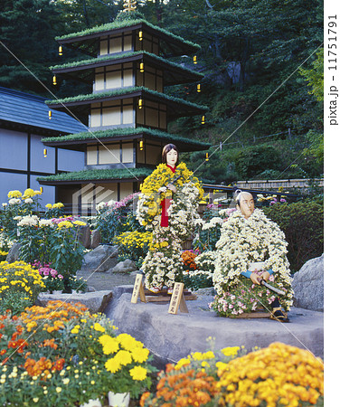 二本松菊人形 11751791