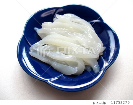 イカの刺身　イカソーメン 11752279